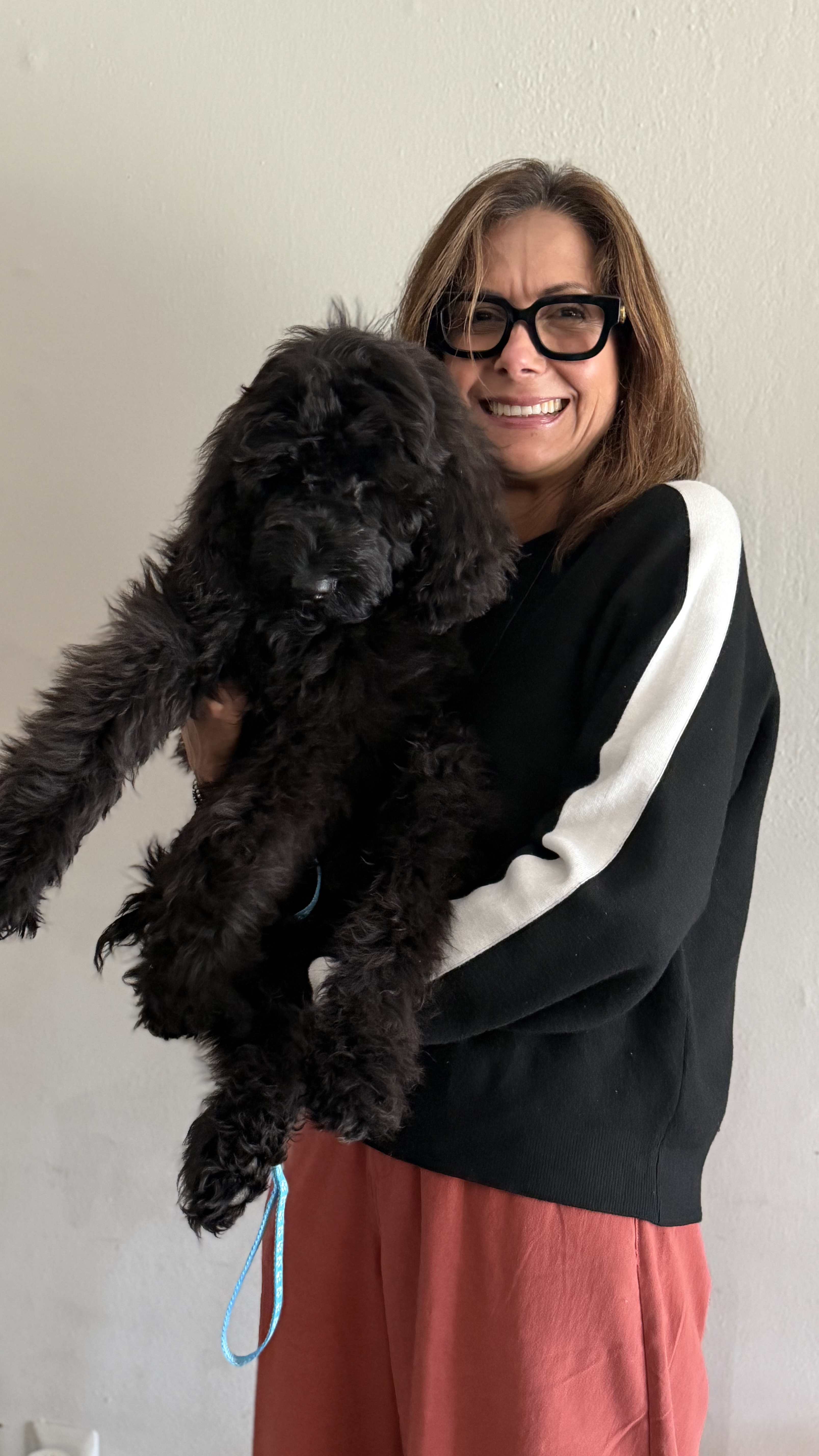 Cachorro junto a su nueva familia