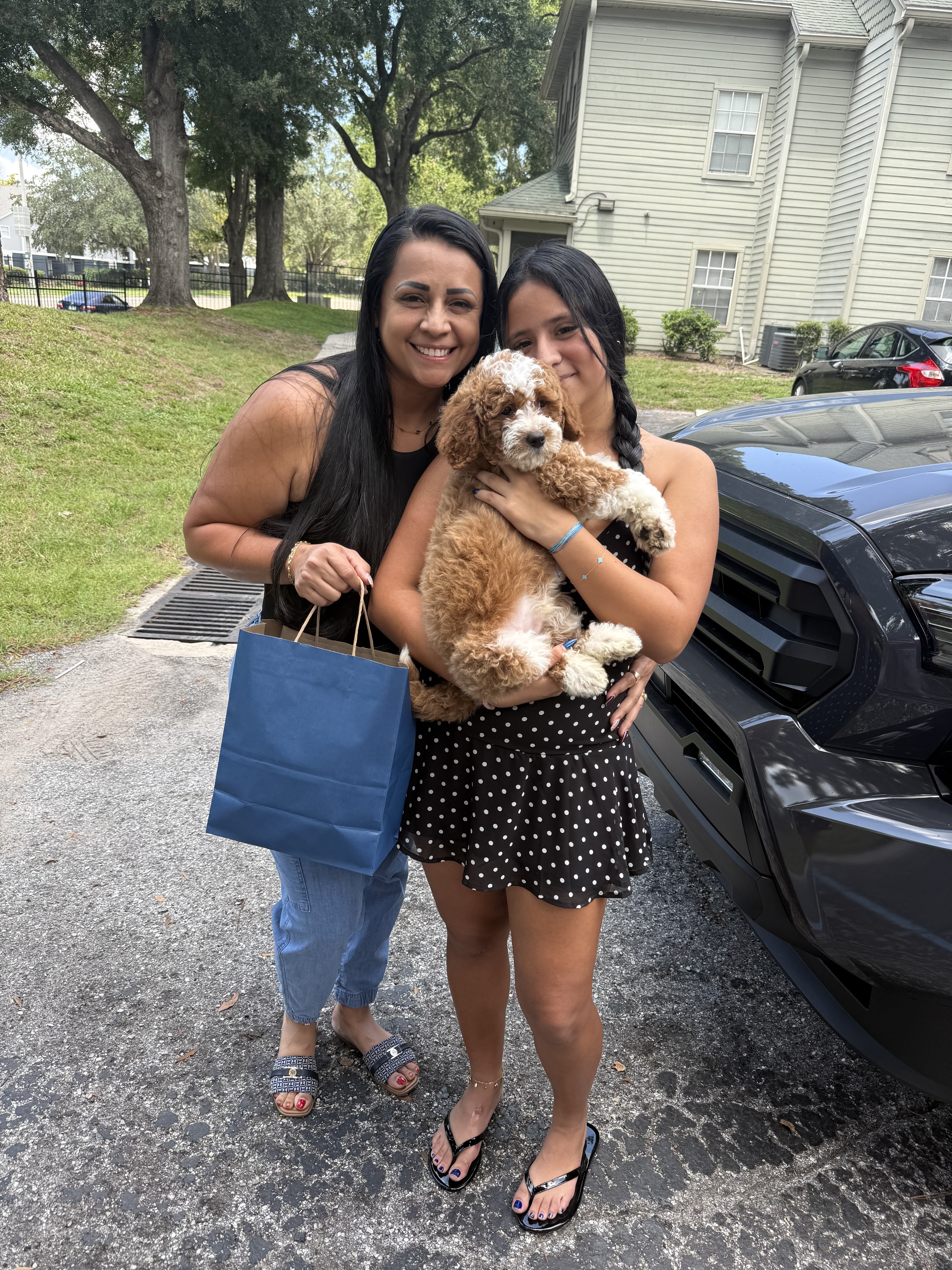 Cachorro junto a su nueva familia