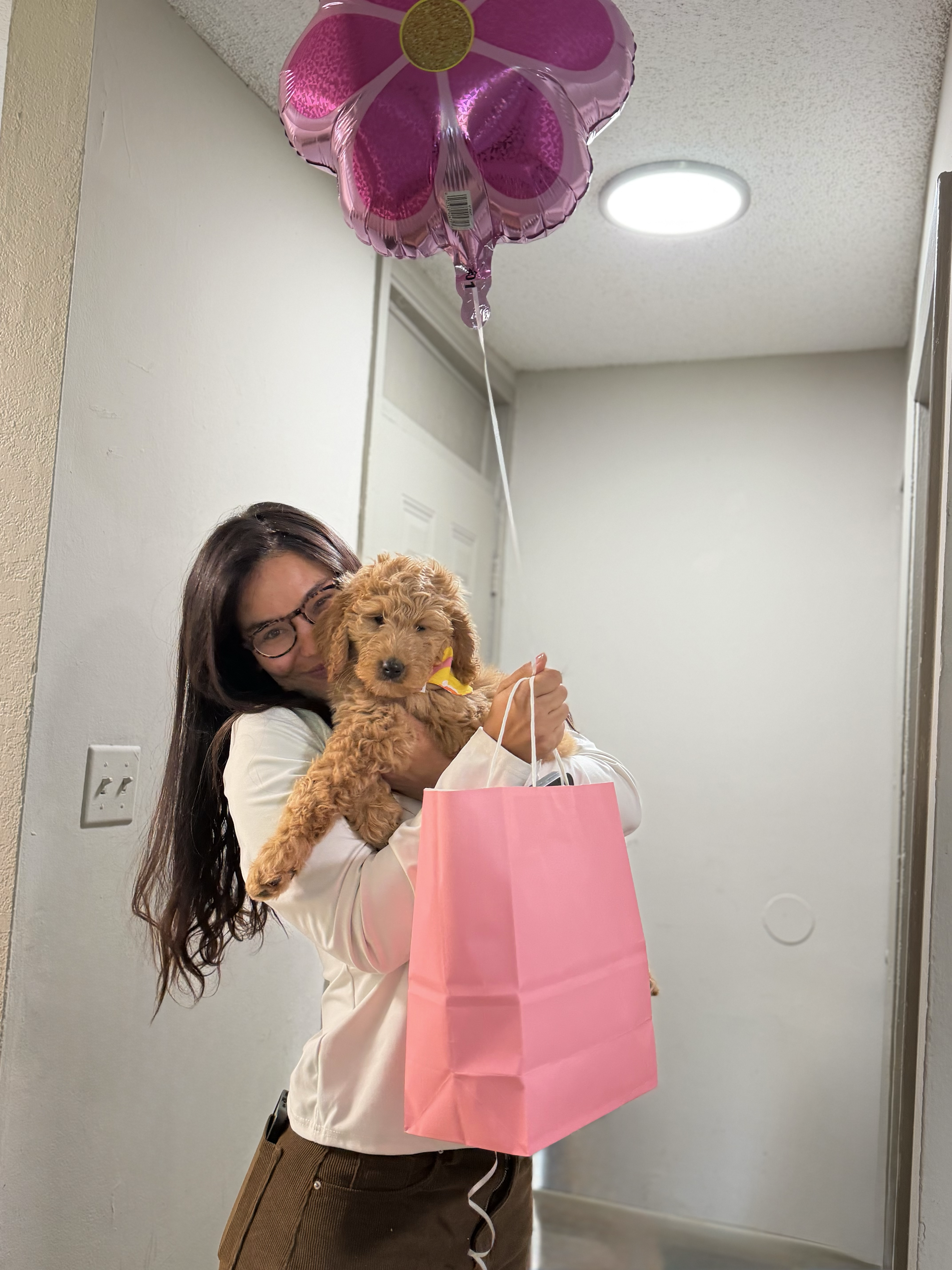 Cachorro junto a su nueva familia
