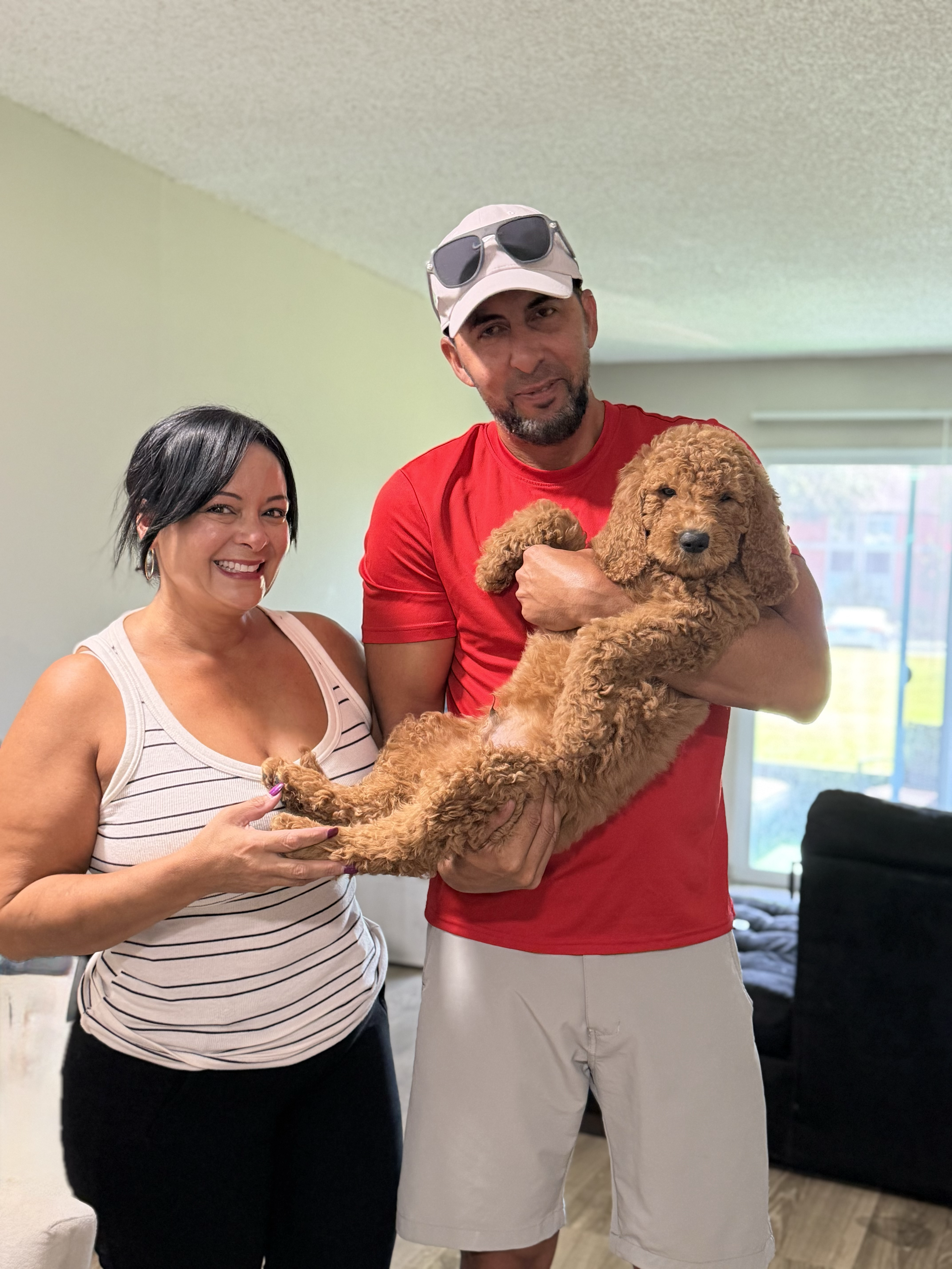 Cachorro junto a su nueva familia