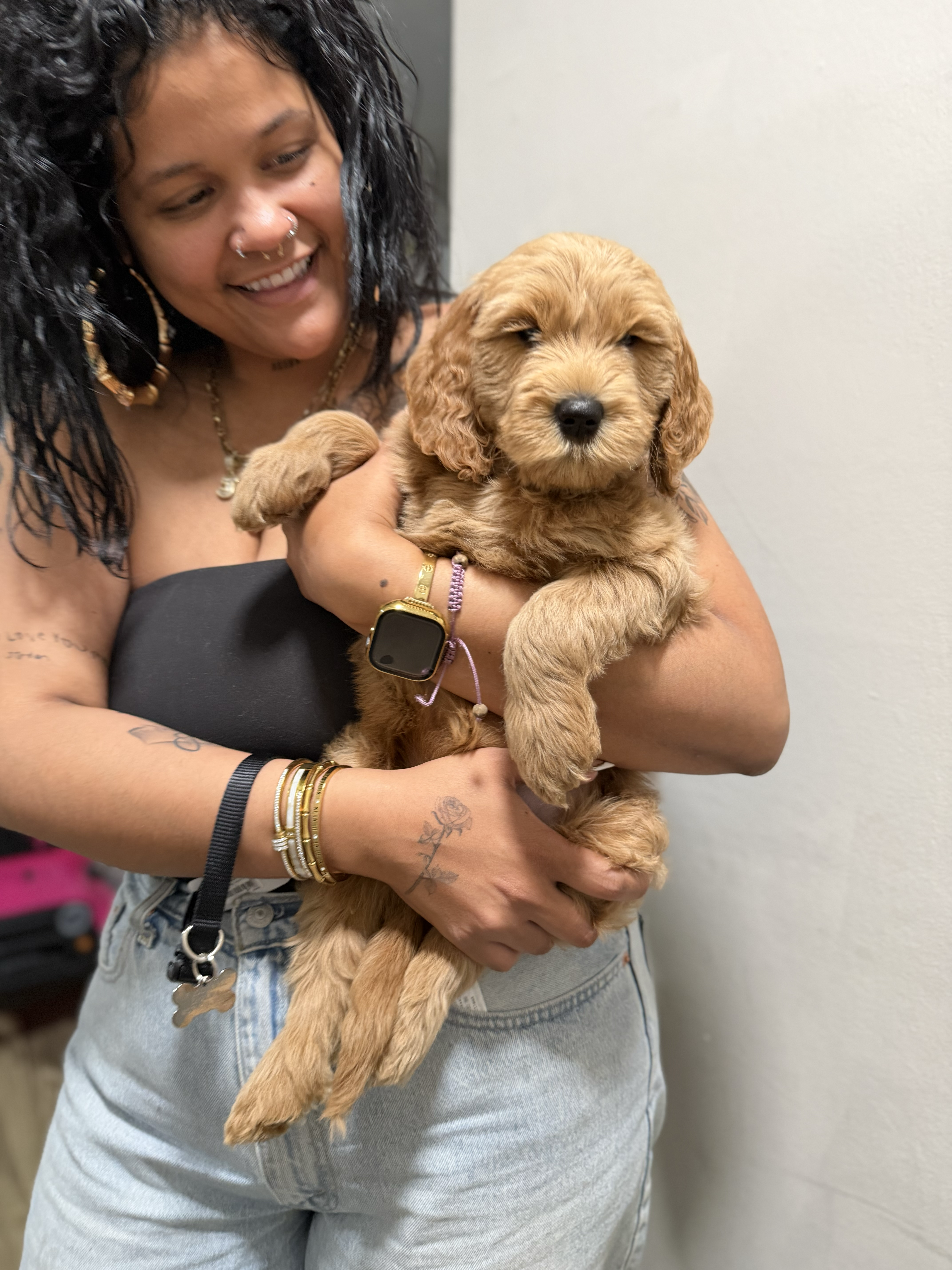 Cachorro junto a su nueva familia