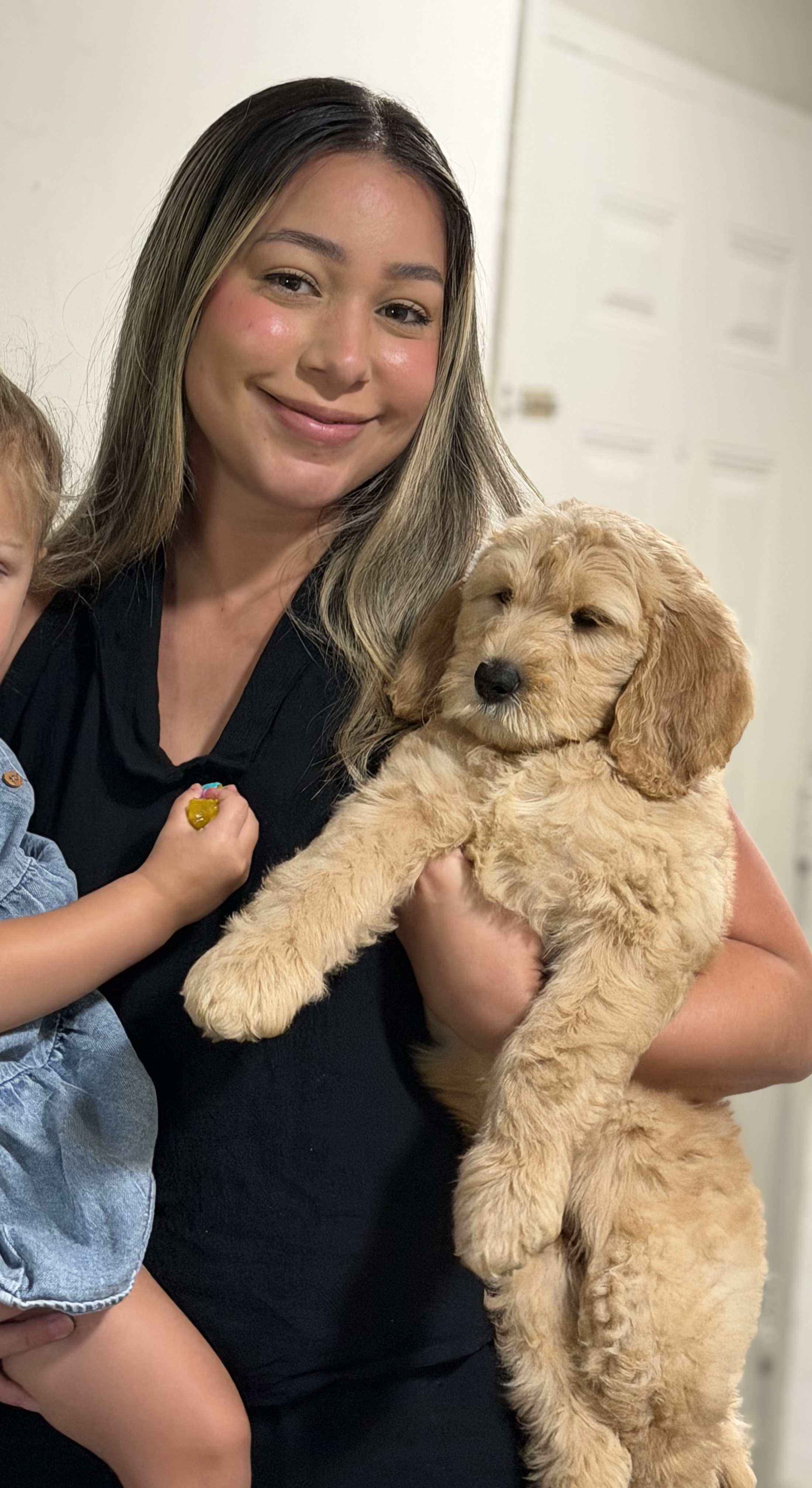 Cachorro junto a su nueva familia